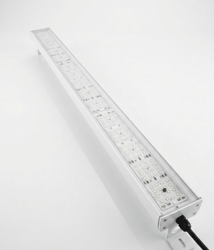 Luminos Linear